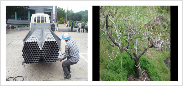 과수지주대 설치사업