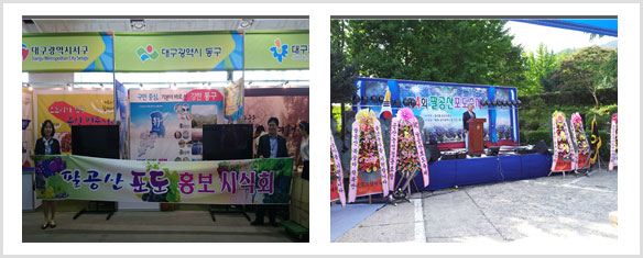 제4회 팔공산포도축제