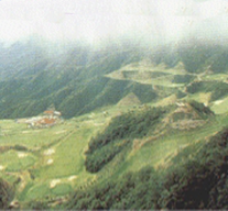 팔공컨트리 클럽