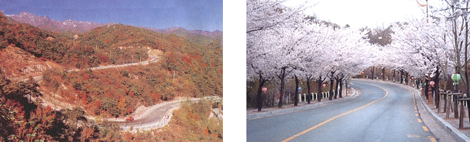 팔공컨트리클럽 전경